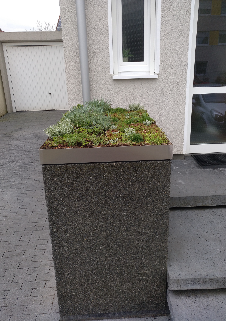 Produktfoto3 Pflanzenteppiche Stauden