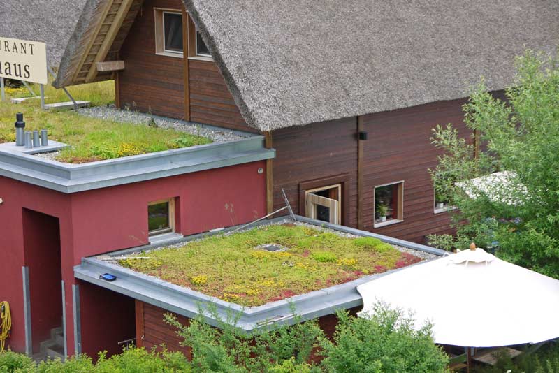 dachgarten24-seehaus1