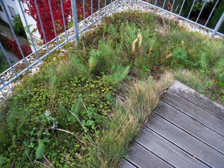 dachbegruenung7-dachgarten24512a5470b3081