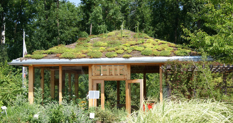 dachbegruenung-gartenhaus-dachgarten24512a552d96805