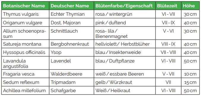 Sortiment Kräuter-Naschgarten