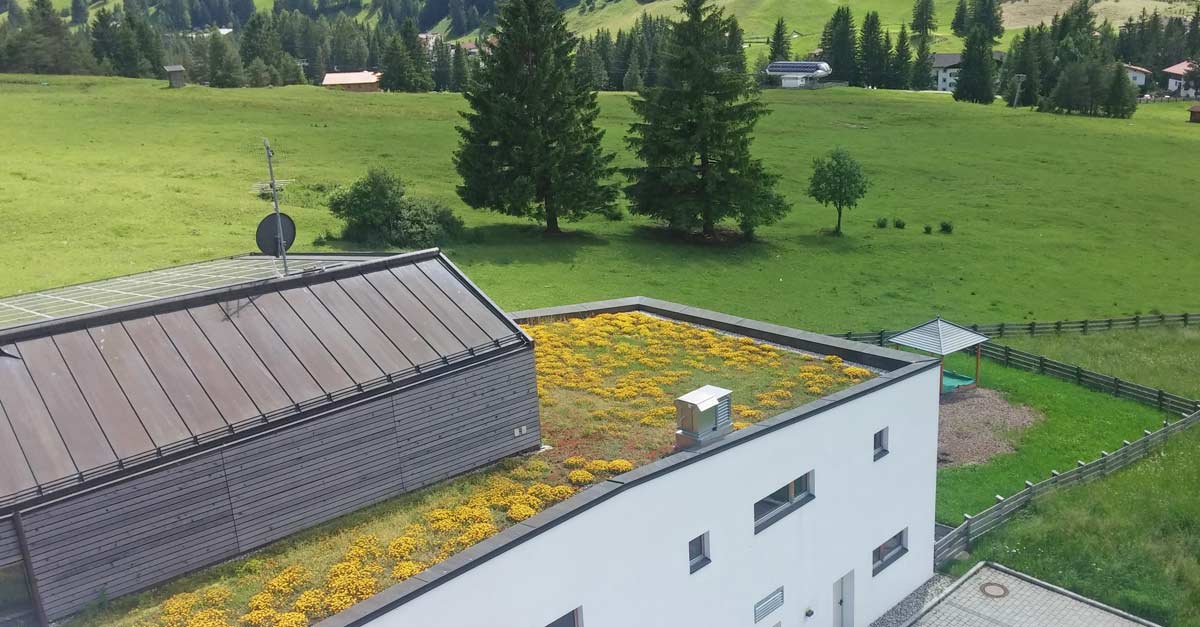 banner-dachbegruenung-suedtirol-2016