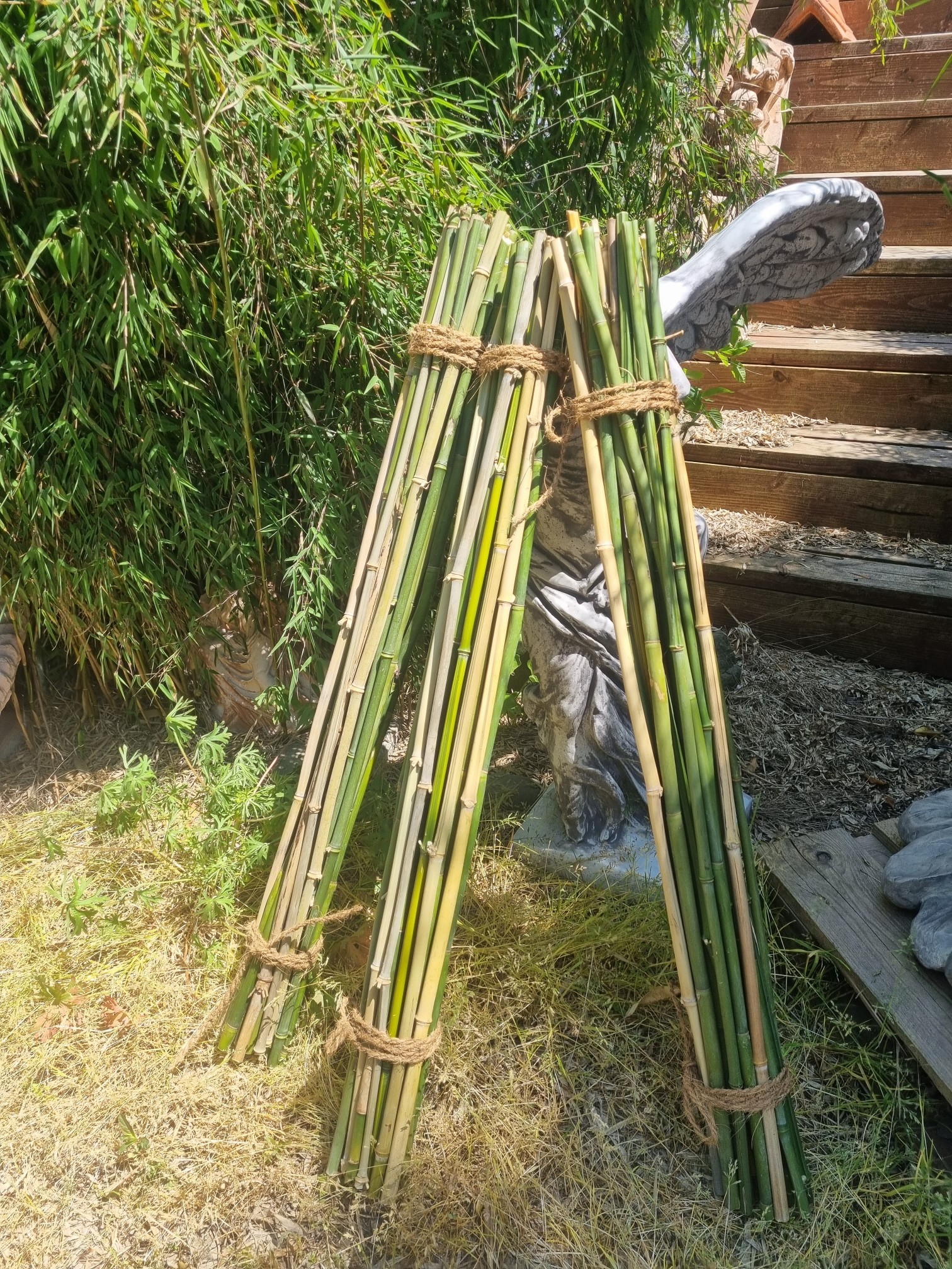 Bambus-Baumaterial-B-ndel2 Nisthilfen Baumaterial - Bambusstangen aus eigenen Anbau