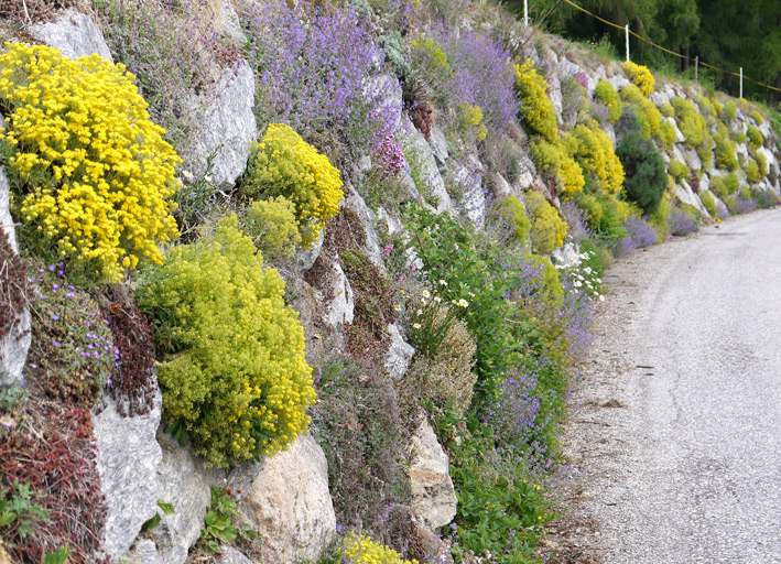 steinmauer-suedtirol6512a54f5b56e1