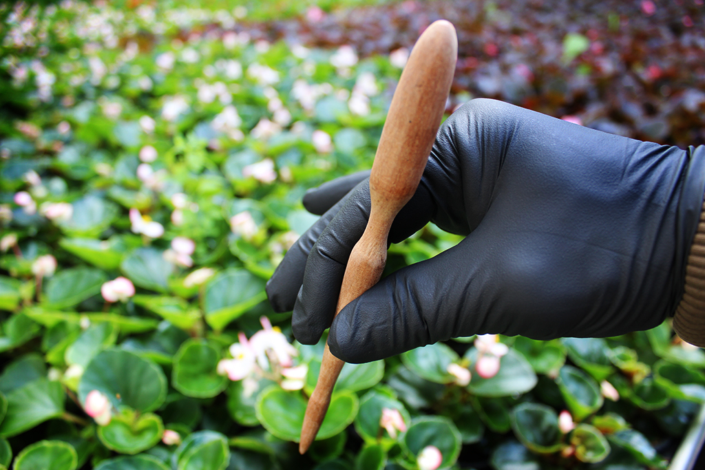 piki1 Pikierstab aus Teakholz