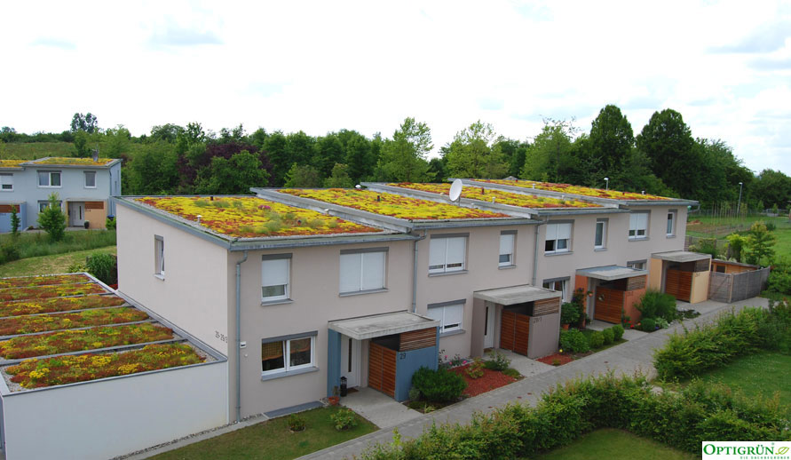 optigruen1-tannenbergerstr-29-rt-dsc_5964