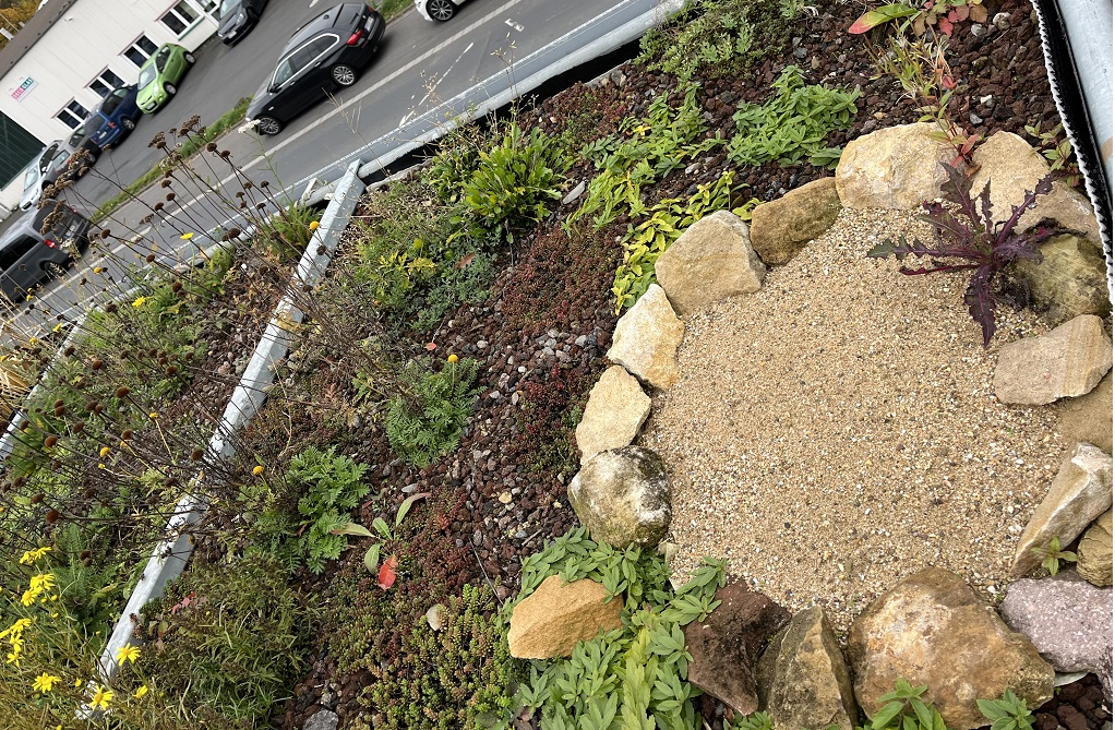 Sortiment Biodivers / Insektenfreundlich Sortiment Biodivers / Insektenfreundlich