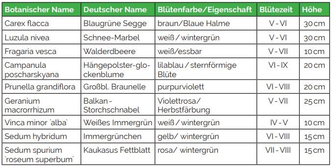 Sortiment Schattenspiel