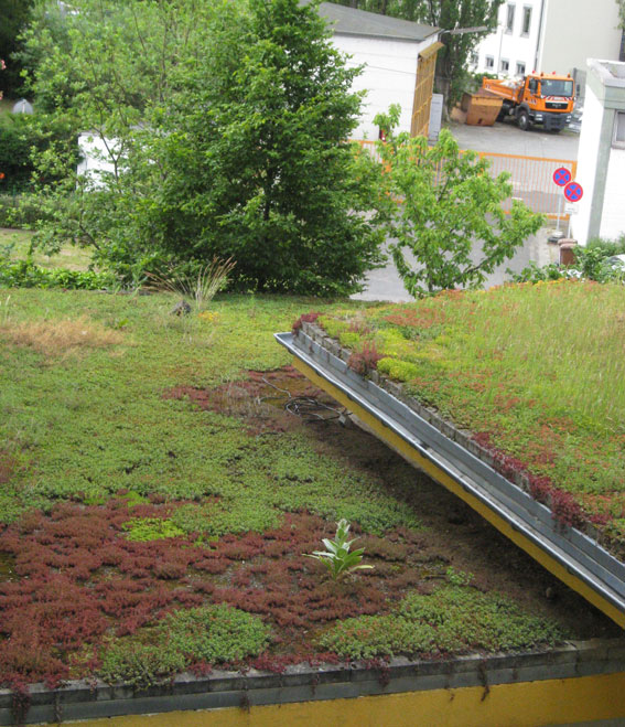 garagenbegruenung_03_dachgarten24512a54a523e93
