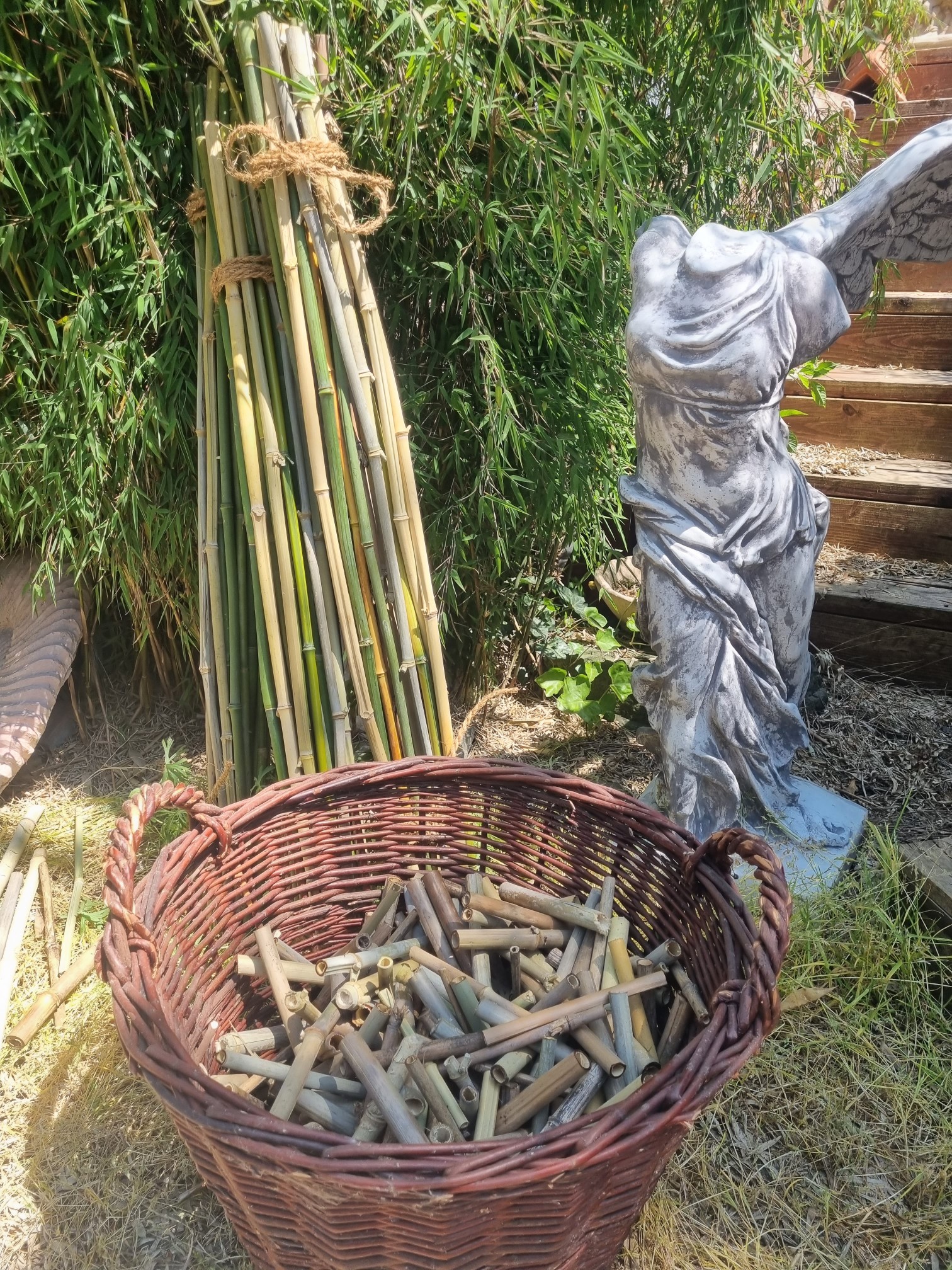fotoZFulnT95KRlFa Nisthilfen Baumaterial - Bambusstangen aus eigenen Anbau