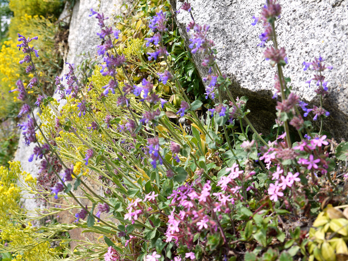 steinmauer-suedtirol3512a54f09a798