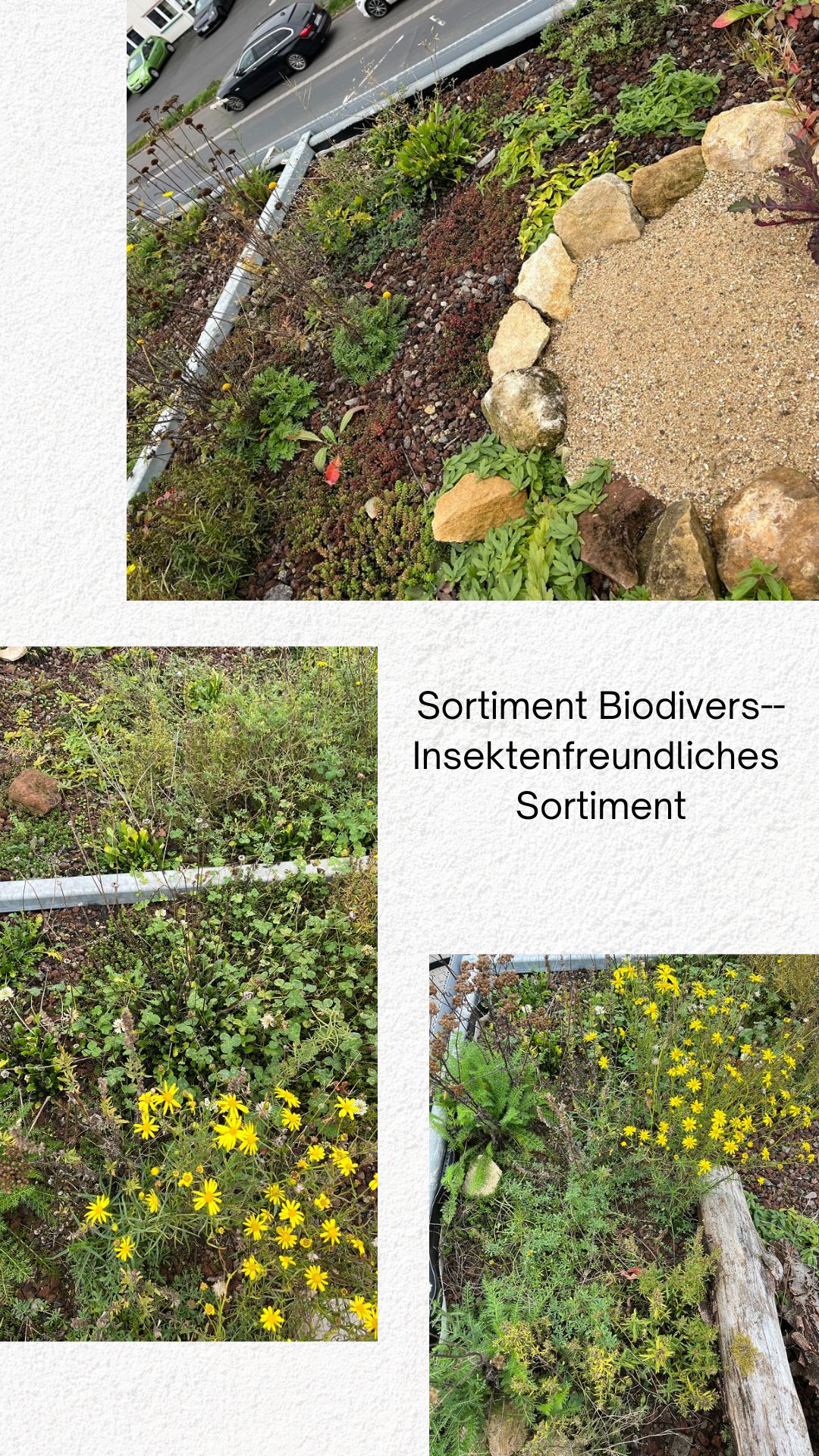 Sortiment Biodivers / Insektenfreundlich Sortiment Biodivers / Insektenfreundlich