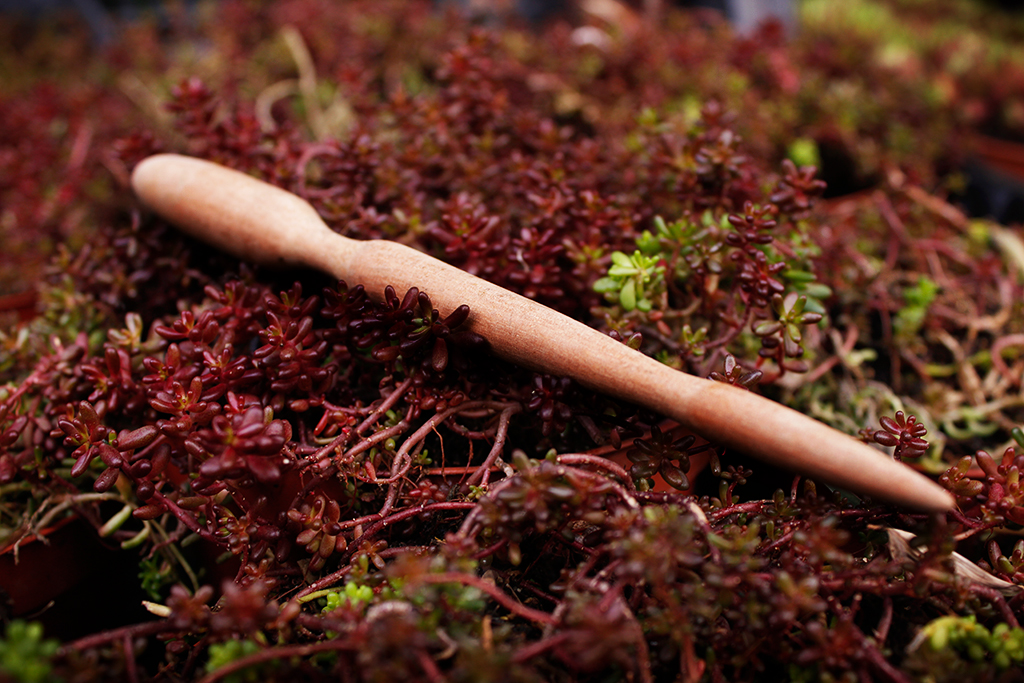 piki0 Pikierstab aus Teakholz